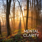 NAD+ HOME 750MG PEN KIT