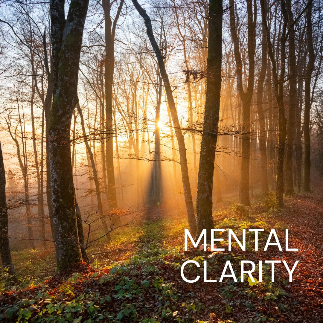 NAD+ HOME 750MG PEN KIT